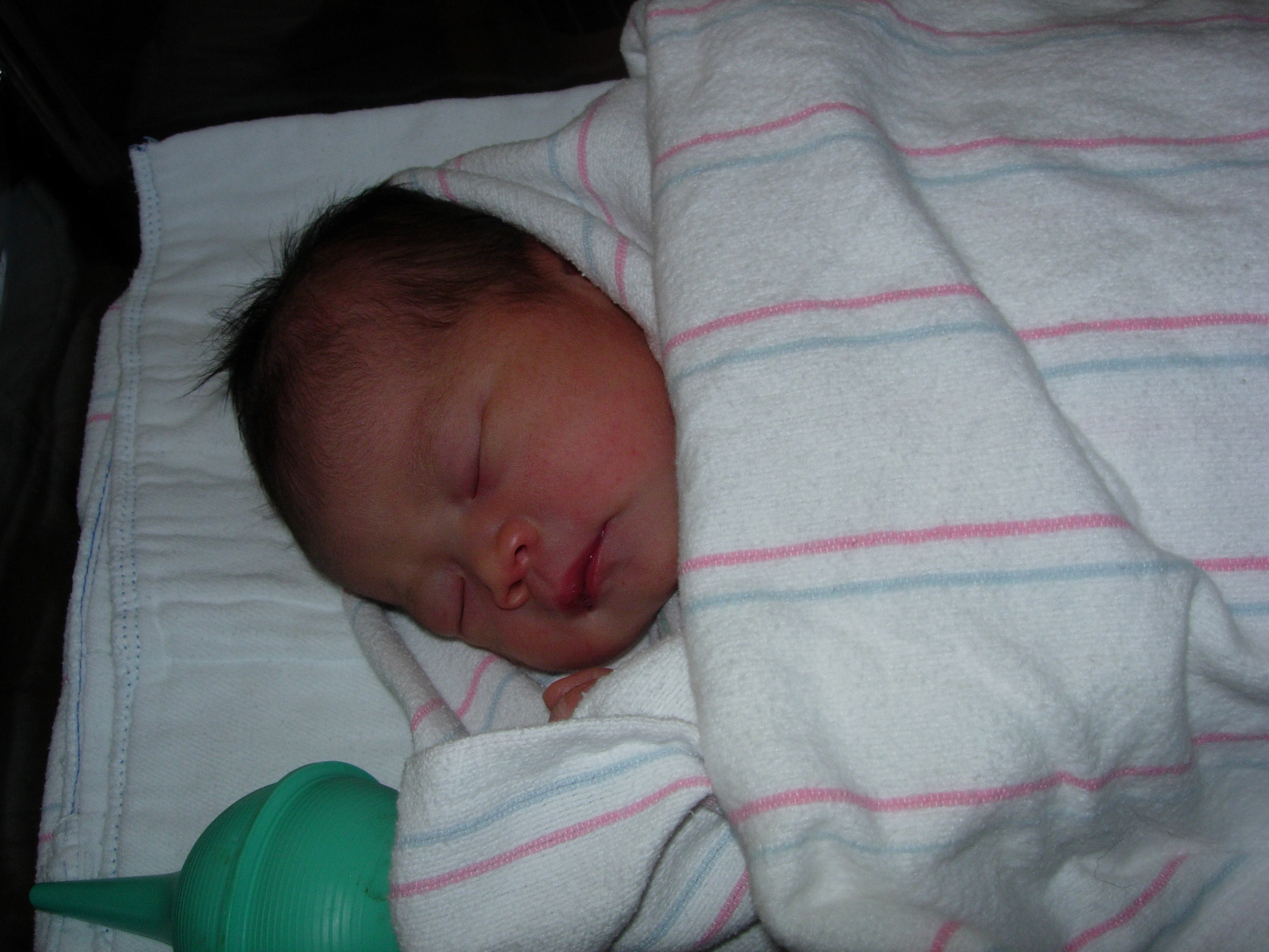dscn0622.jpg